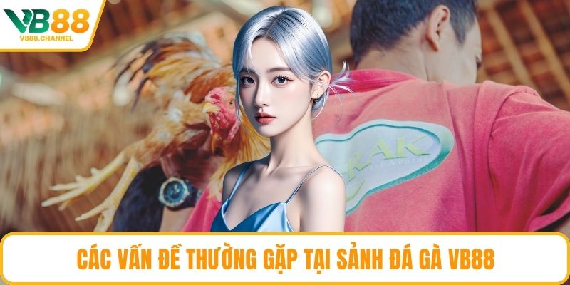Các vấn đề thường gặp tại sảnh đá gà VB88