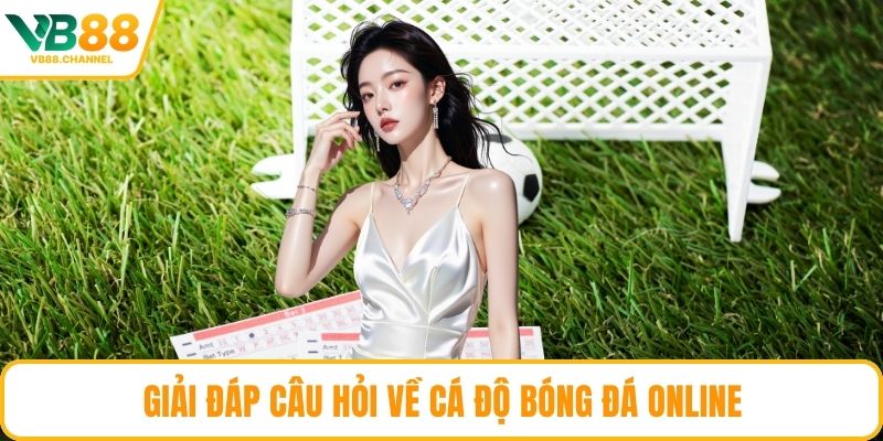 Giải đáp câu hỏi về cá độ bóng đá online