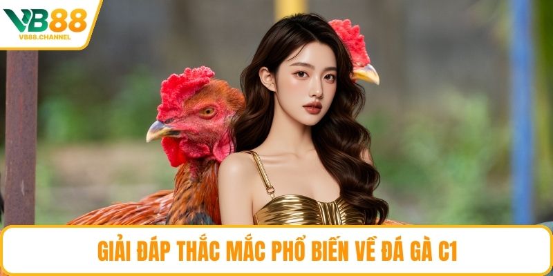 Giải đáp thắc mắc phổ biến về đá gà C1