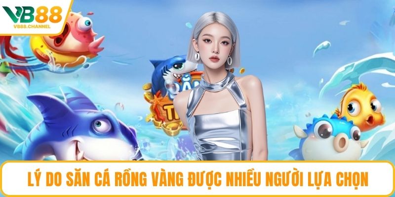 Lý do săn cá rồng vàng được nhiều người lựa chọn